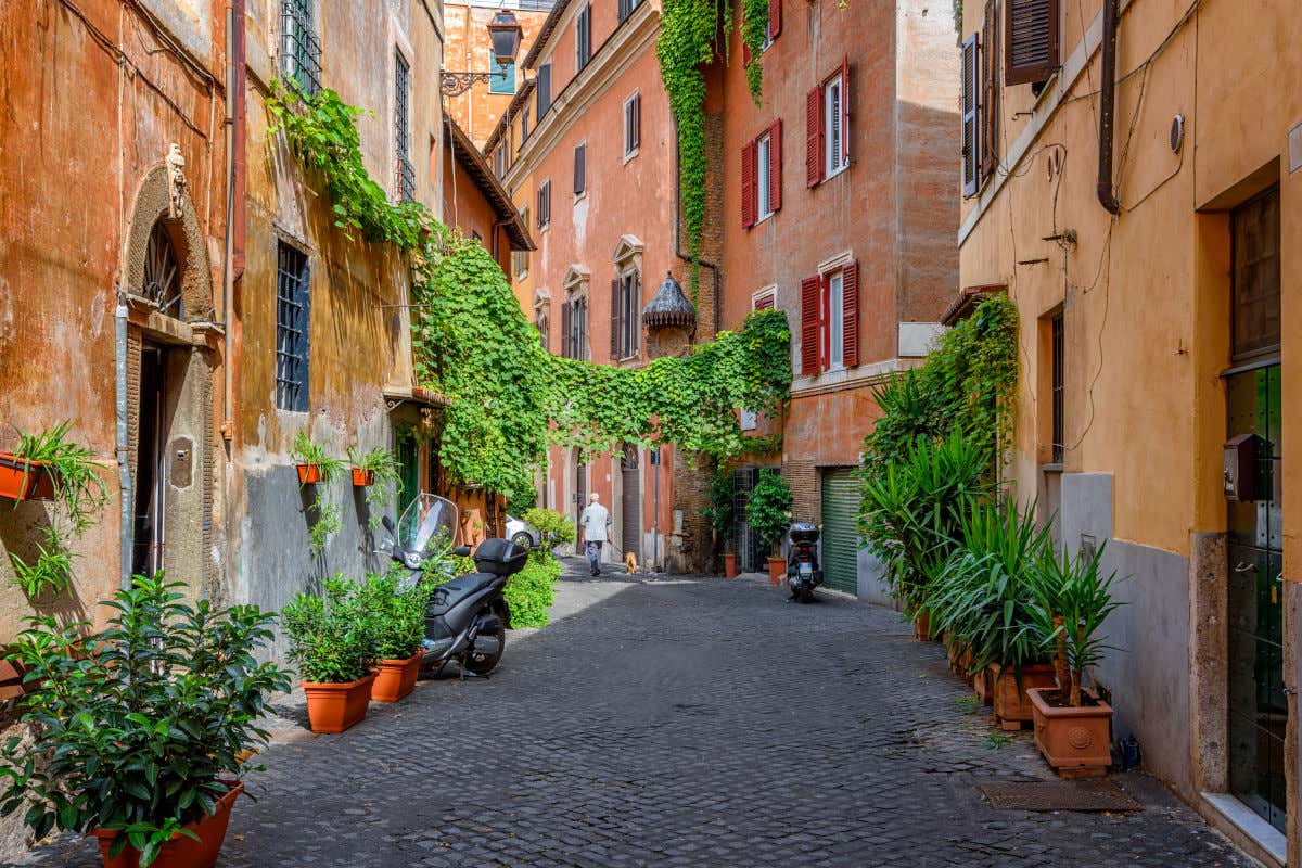 Una calle empedrada del barrio de Trastevere con edificios antiguos decorados con plantas