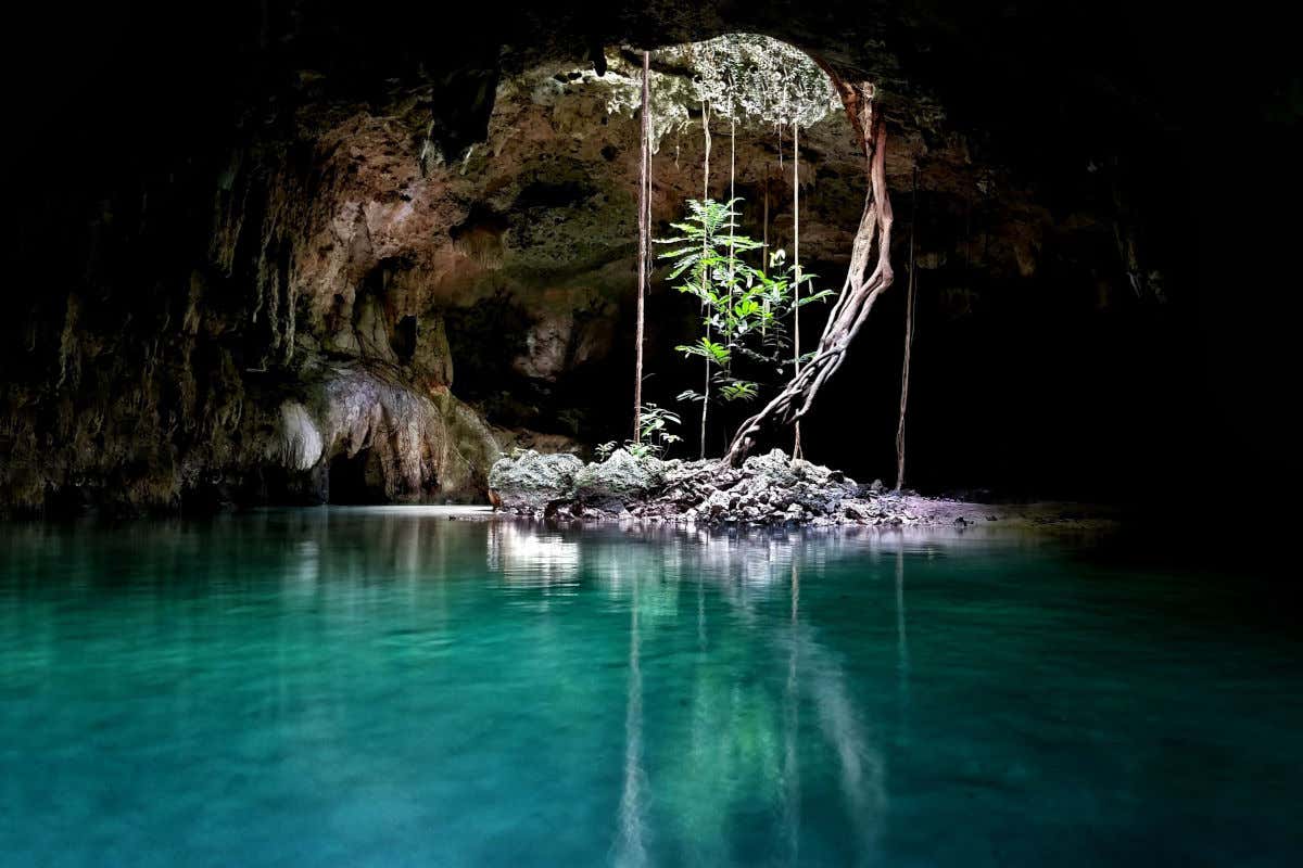El cenote Dos Ojos, una superfice de aguas cristalinas en mitad de una cueva con algo de vegetación en su interior