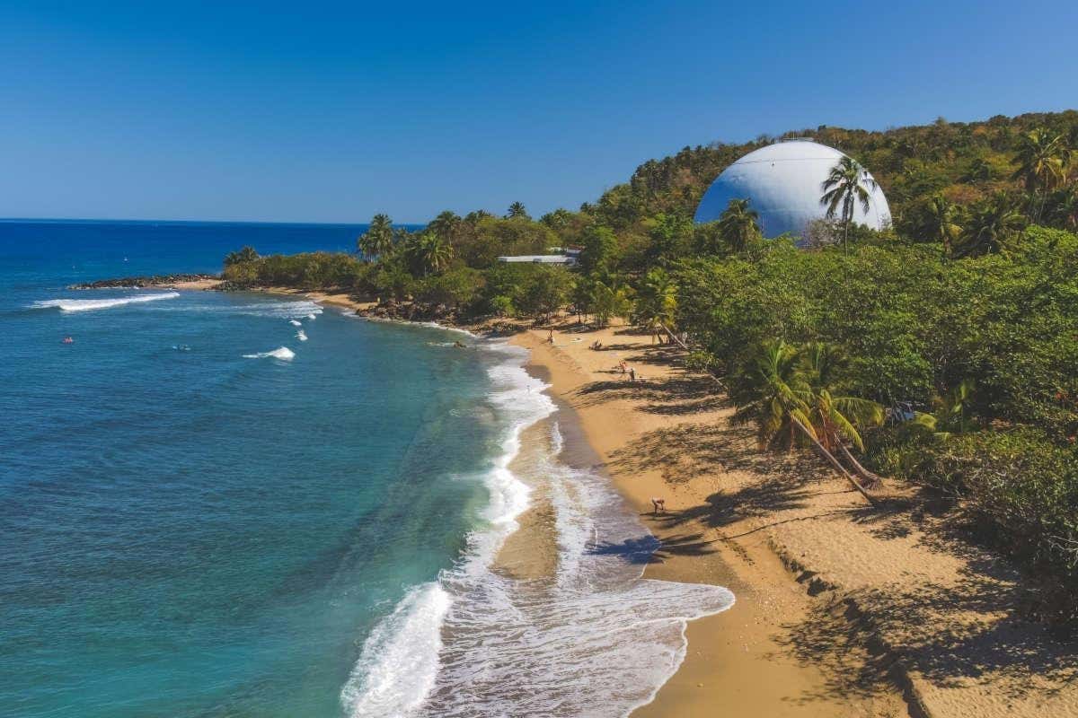 Vistas aéreas de una playa con palmeras