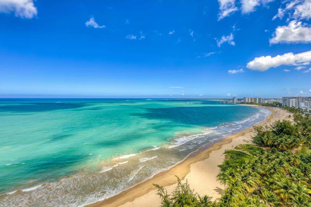 Vistas aéreas de una playa natural con palmeras con el agua en diferentes tonos azules