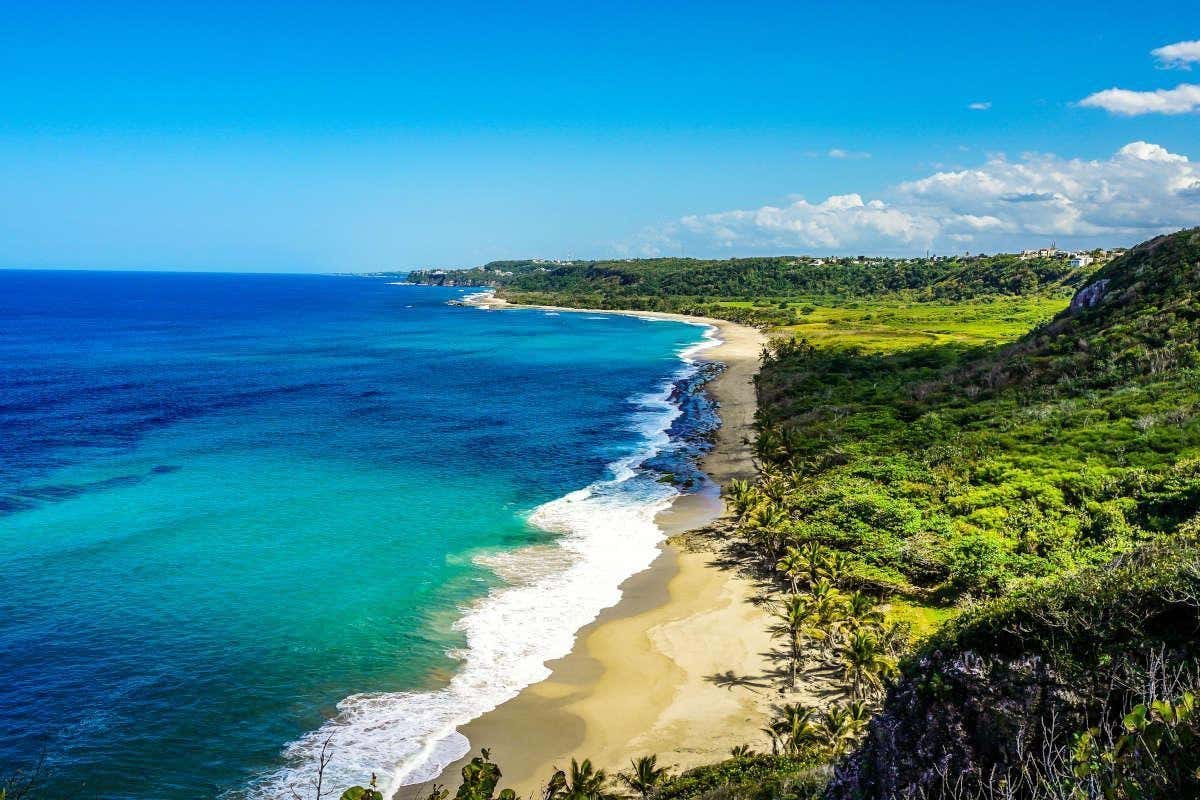 Vistas aéreas de una playa del Caribe con muchas palmeras alrededor