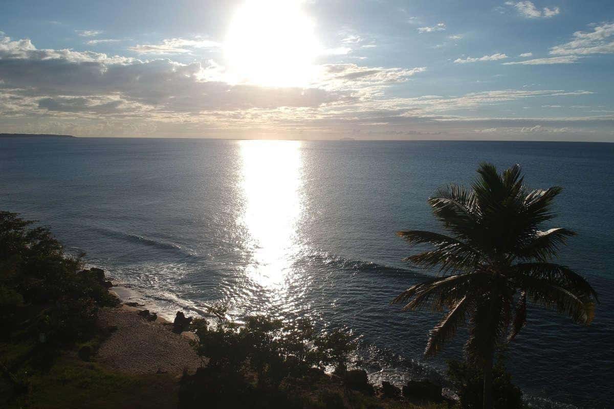 Puesta de sol reflejada en una playa con la silueta de una palmera