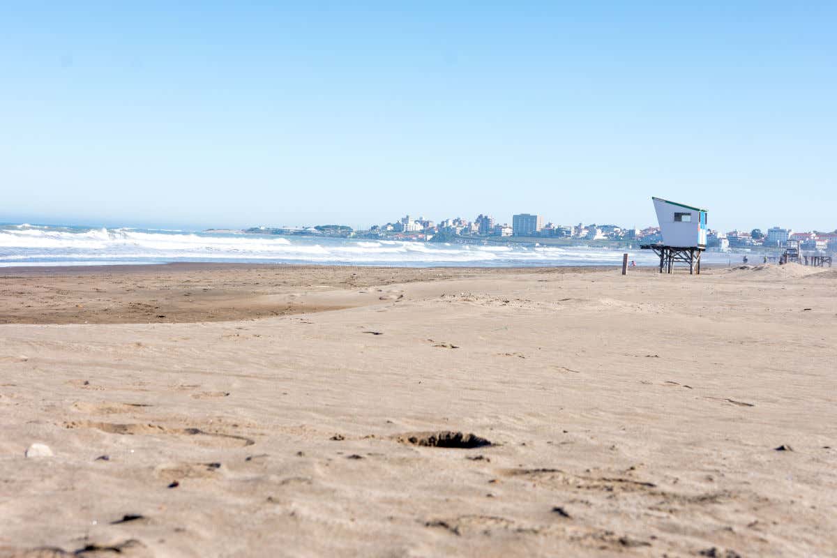 Playa Grande, a wide golden sand bay in Mar del Plata with buildings around it and a lifeguard tower