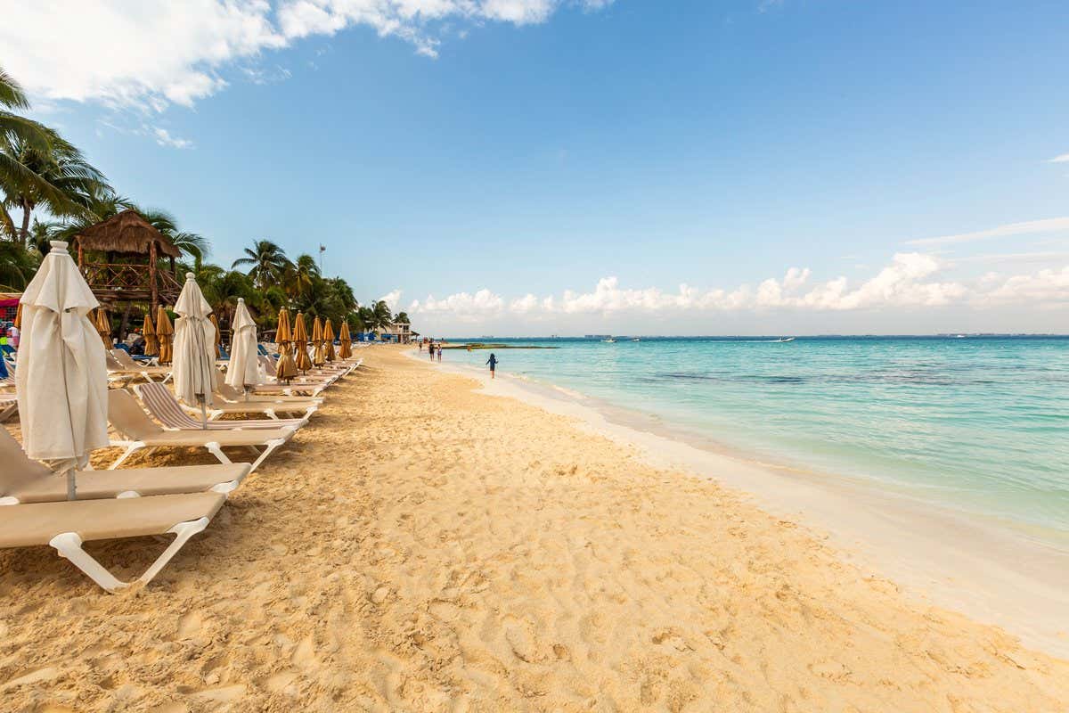 Fila de tumbonas y sombrillas junto a palmeras en una playa de arena blanca de Isla Mujeres