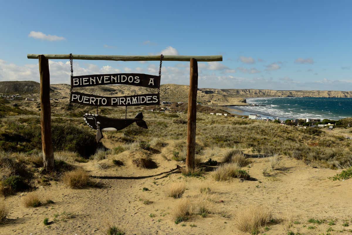 A wooden sign decorated with the silhouette of a whale at Puerto Pirámides beach in Argentina