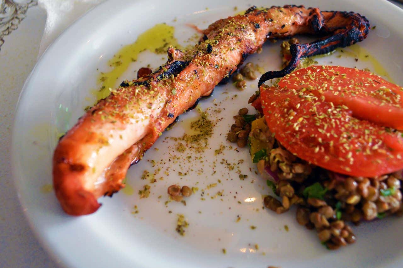 Un primo piano di un piatto bianco contenente un tentacolo di polpo grigliato, due fette di pomodoro fresco, insalata di lenticchie e un filo d'olio d'oliva. Il piatto è spolverato con origano secco