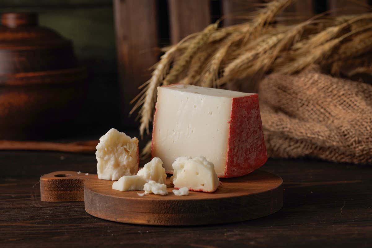 Cuña de queso curado con corteza roja junto a trigo y un plato de madera