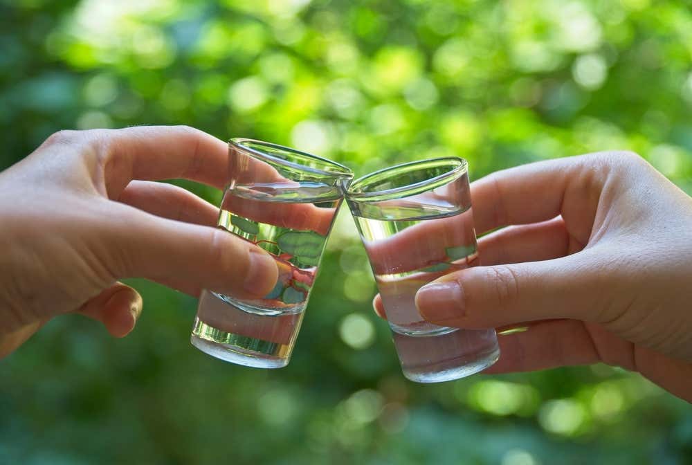 Primo piano di due persone che fanno un brindisi incrociando due bicchierini da shot pieni di pálinka trasparente, con uno sfondo naturale verde e luminoso completamente sfocato
