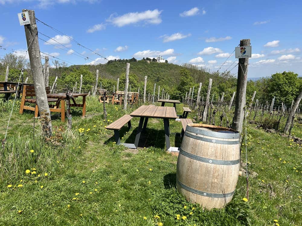 Tavoli e panche di legno immersi tra i filari di un vigneto su un prato verde, con una botte di legno in primo piano e una collina alberata sullo sfondo sovrastata da un edificio bianco sotto un cielo azzurro e nuvoloso