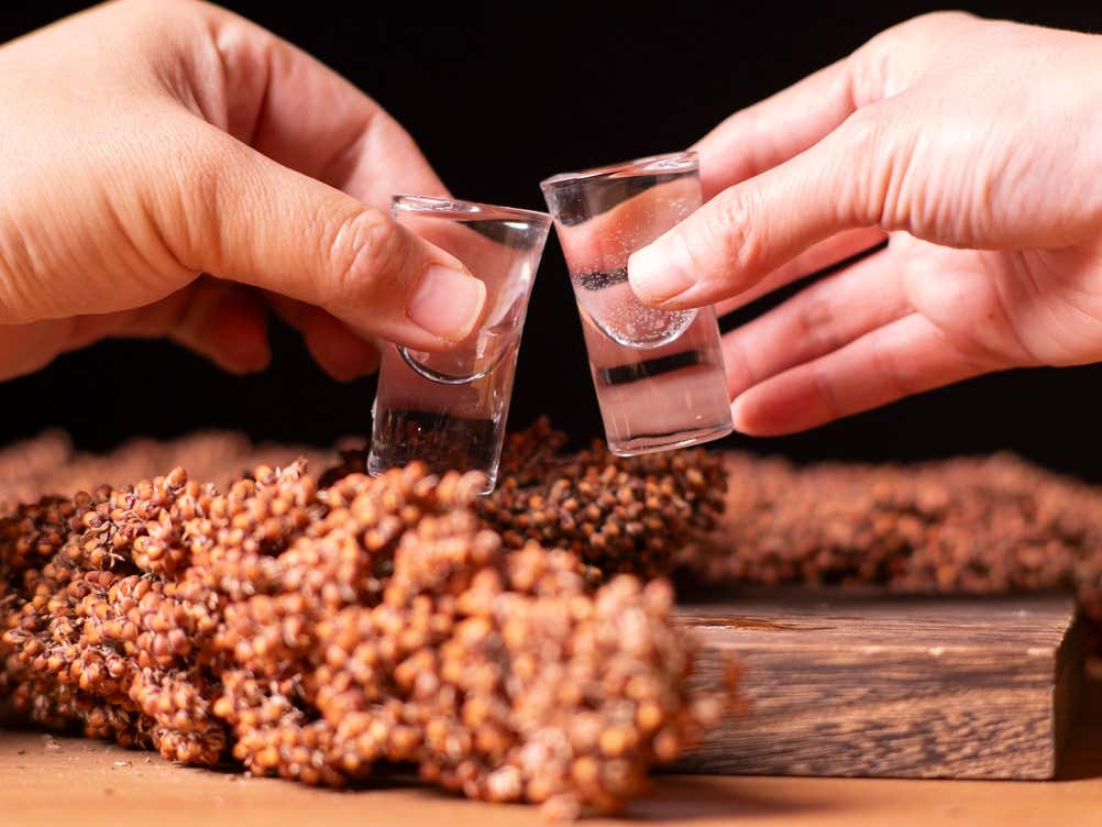Primo piano delle mani di due persone che fanno un brindisi con due piccoli bicchieri da shot pieni di Baijiu. Sullo sfondo, fuori fuoco ma visibili, ci sono delle spighe di sorgo, il cereale principale da cui viene distillato il Baijiu. Lo sfondo è scuro