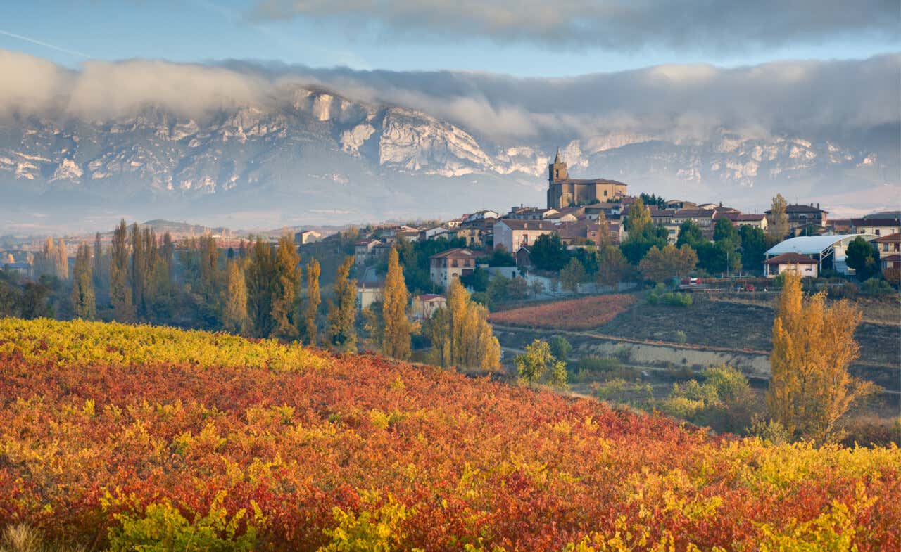 Viñedos con colores de otoño en la zona de la Rioja Alavesa, una de las cosas que hay que ver en Álava