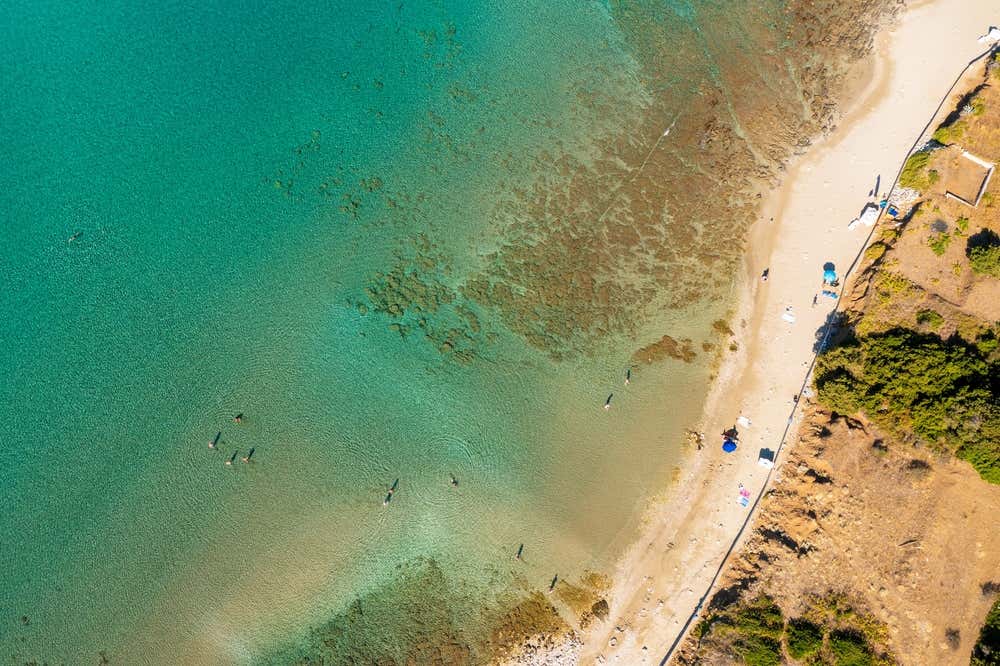 Foto aerea dall'alto della spiaggia di sabbia dorata di Vela Pržina a Lumbarda, sull'isola di Korčula, bagnata da un mare cristallino con sfumature dal verde smeraldo al turchese e bagnanti in acqua