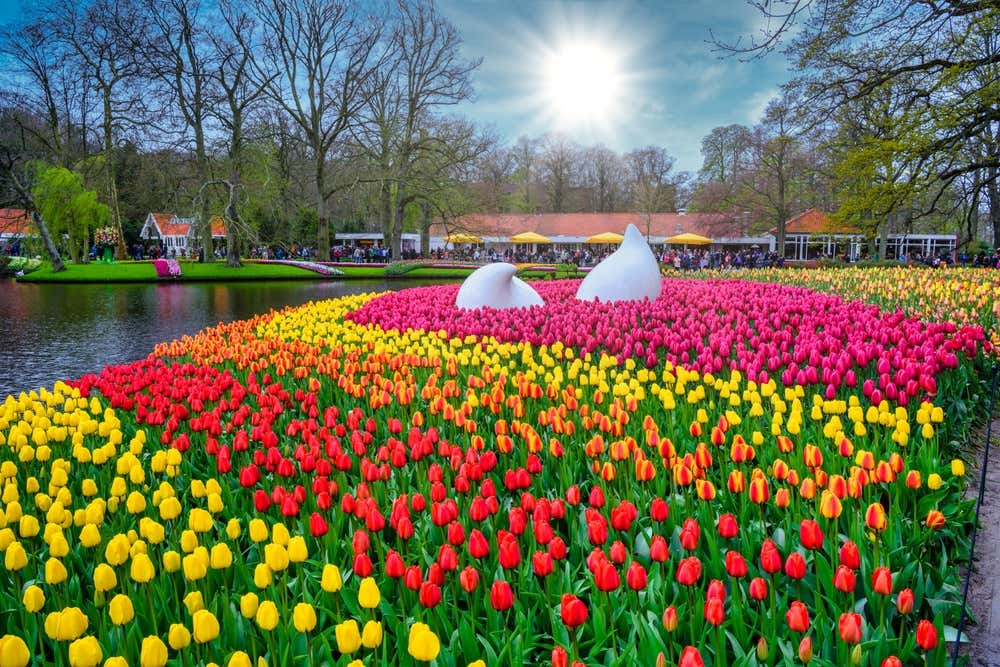 Monumento cercado por tulipas coloridas no Jardim Keukenhof, em Lisse, nos Países Baixos