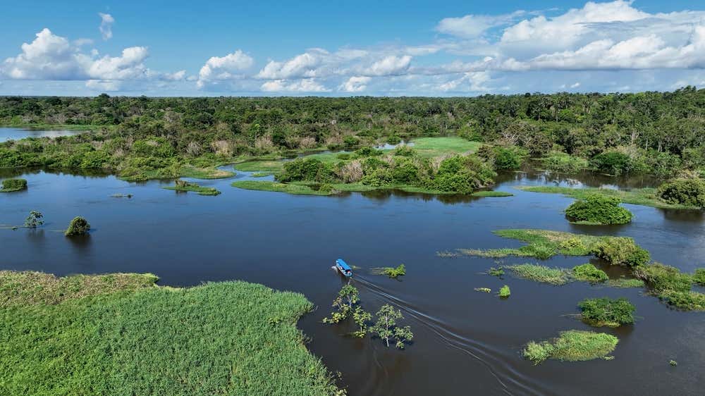 Barco navegando pelas águas do rio Amazonas, em meio à exuberante floresta amazônica, com árvores e vegetação parcialmente submersas nas áreas de igapó