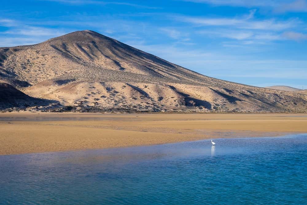 Vista de praia de Sotavento de Jandía, na península de Jandía, em Fuerteventura, nas Ilhas Canárias, Espanha, com extensas faixas de areia dourada, águas azul-turquesa e dunas costeiras