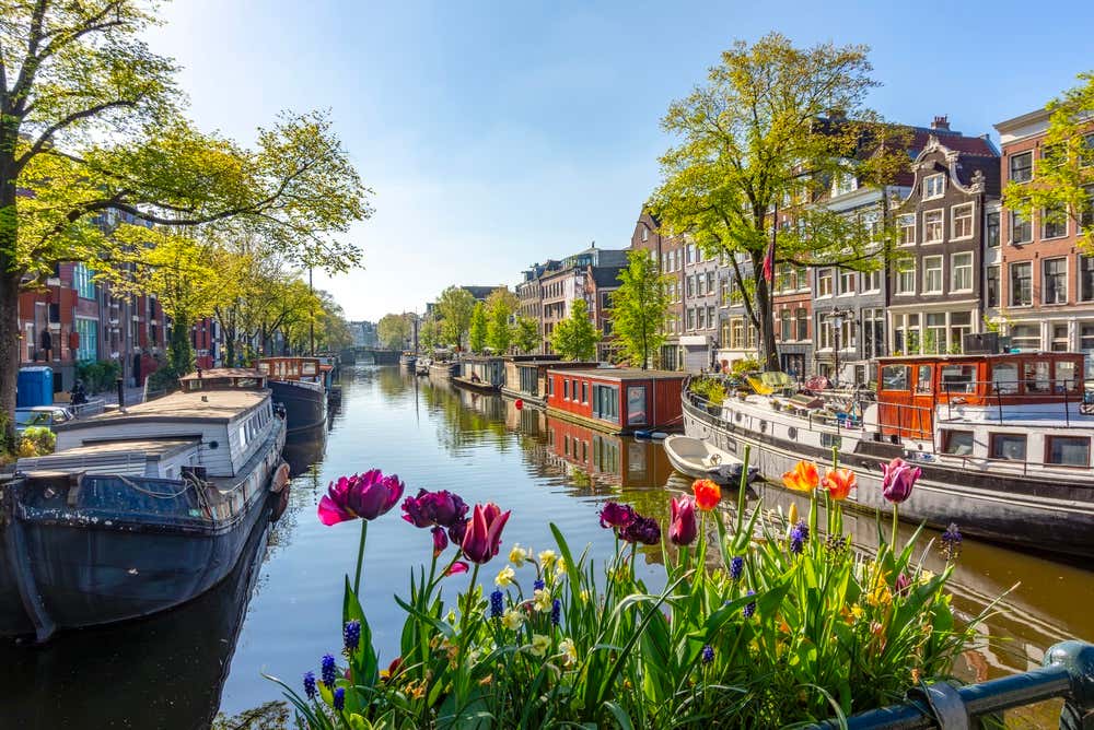 Tulipas em primeiro plano, com a arquitetura tradicional holandesa e os canais do bairro de Jordaan, em Amsterdam, nos Países Baixos
