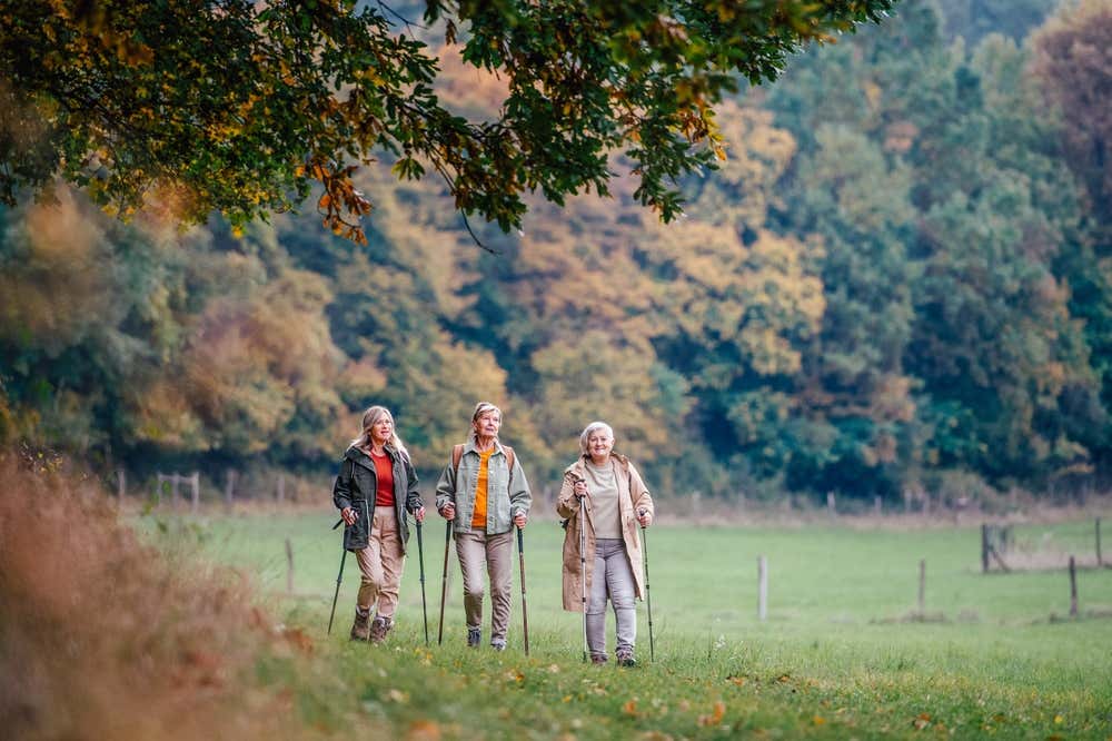 Tre donne in età avanzata passeggiano in un bosco autunnale mentre parlano tra loro sorridendo