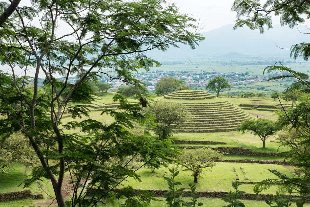 Guachimontones Archaeological Site seen from behind a tree.