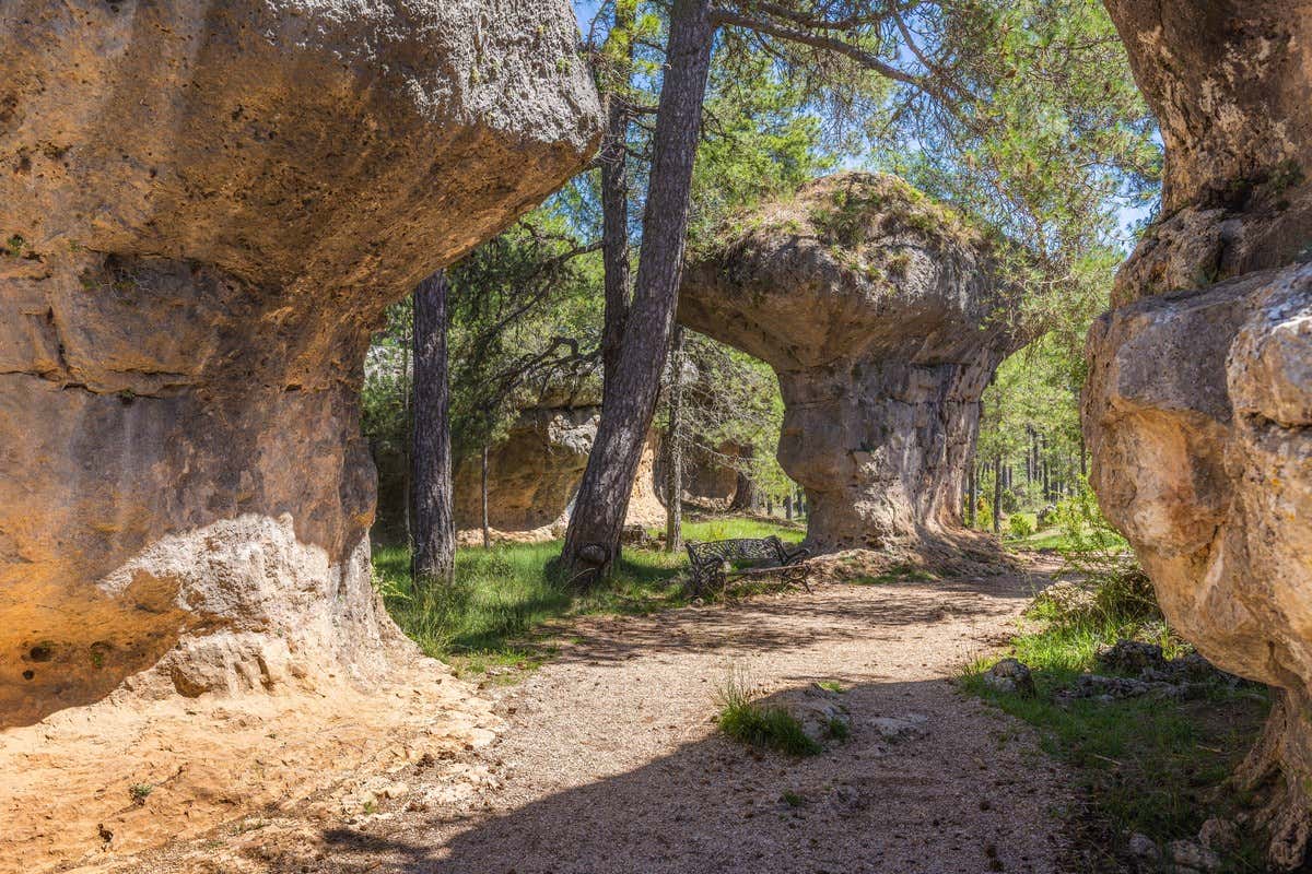 Sendero entre formaciones rocosas y pinos en la Ciudad Encantada de Cuenca