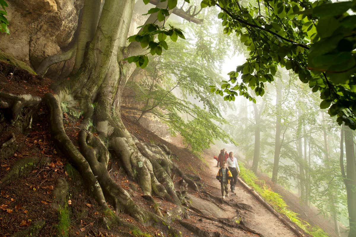 Una familia recorriendo un frondoso bosque del Parque Nacional de la Suiza Sajona y Bohemia, en la República Checa