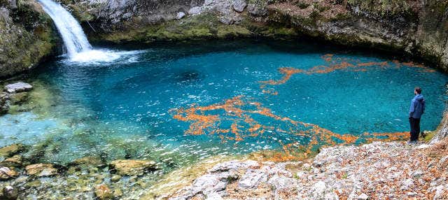 Excursión a la laguna Blue Eye