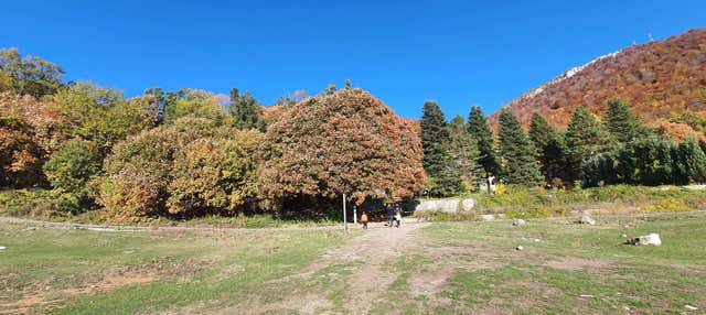 Excursão ao monte Dajti + BunkArt 1