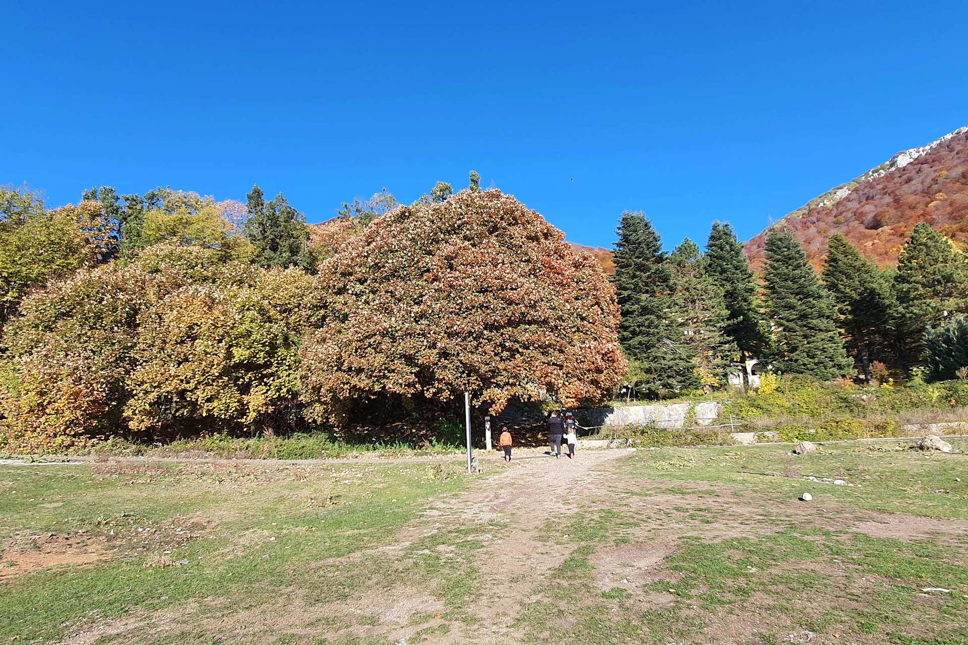 Excursión al monte Dajt + BunkArt 1