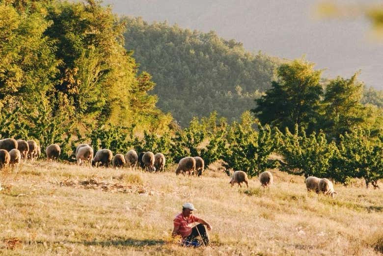 Nos cruzaremos con trabajadores de la montaña
