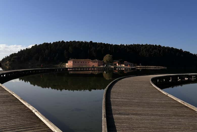 Rimarrete a bocca aperta!