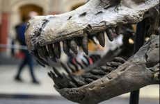 Entradas al Museo de Historia Natural con audioguía