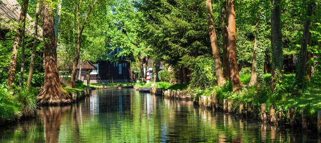 Excursión al bosque del Spree