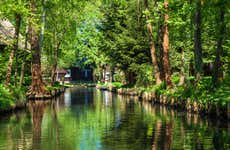 Excursión al bosque del Spree