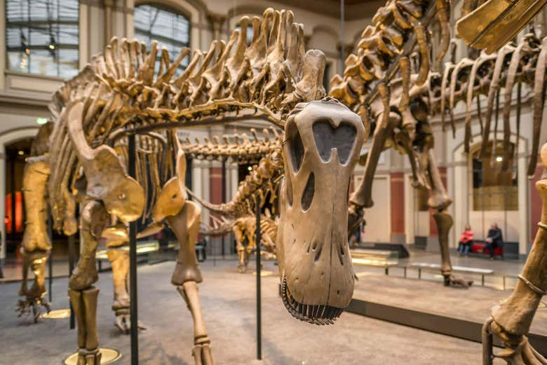 Sala de los Dinosaurios