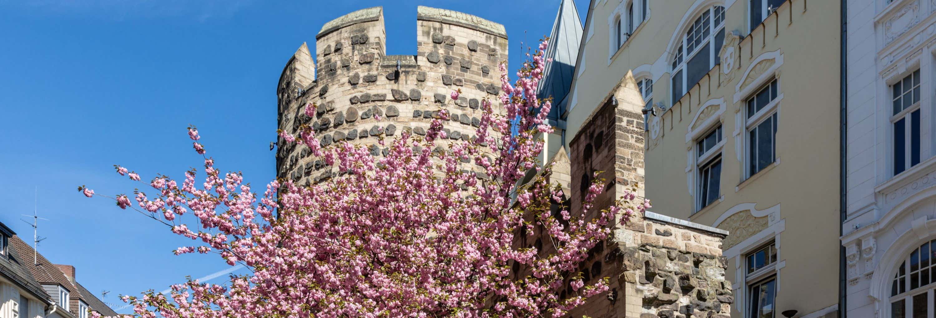 Excursiones de un día en Colonia
