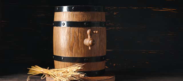 Free tour da cerveja por Colônia