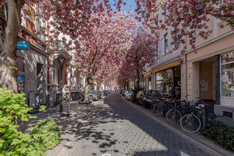 Ruas de Bonn na primavera