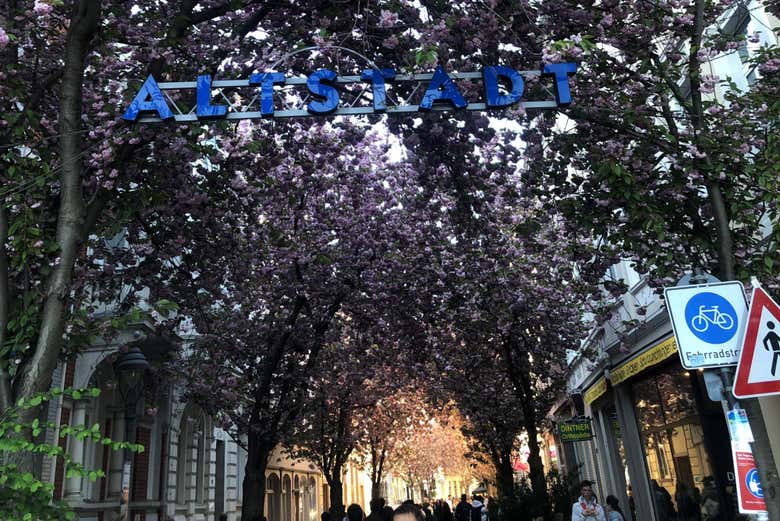 Passeando pelo colorido centro histórico de Bonn