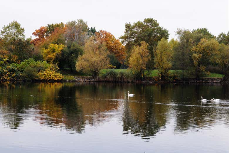 El lago de Rebstockpark