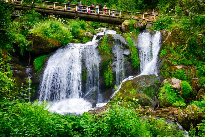 Cascada en Triberg