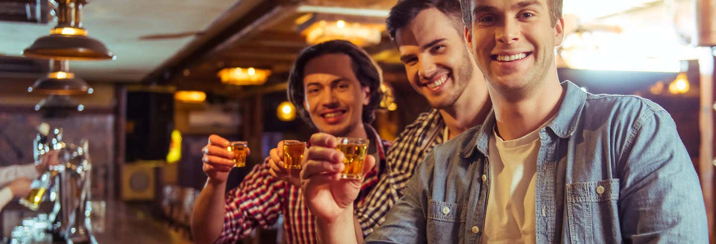 Guided tours and free tours in Hamburg