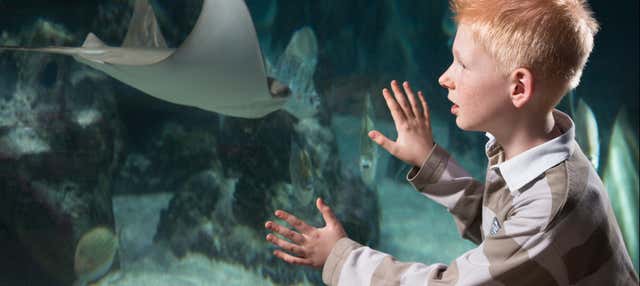 Billet pour le SEA LIFE® Hanovre