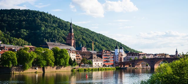 Tour privado por Heidelberg con guía en español