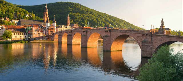 Visita guiada por Heidelberg