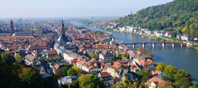 Crucero de 8 días por el Rin