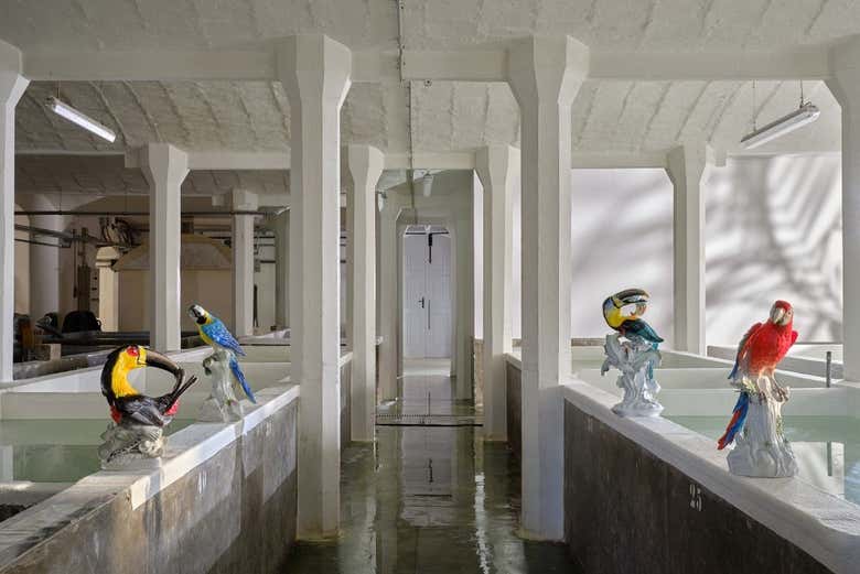 Diversi pappagalli di porcellana