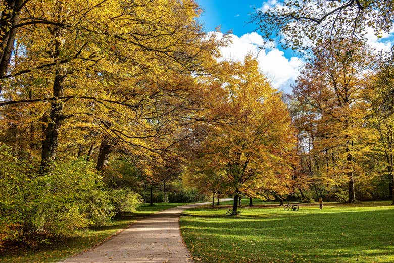 I sentieri dell'Englischer Garten