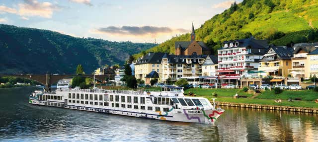 Crucero de 8 días por el Danubio