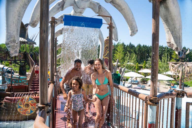 Explore the park grounds