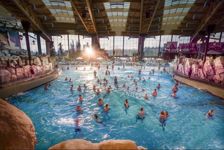 Swim in a temperate indoor pool year round