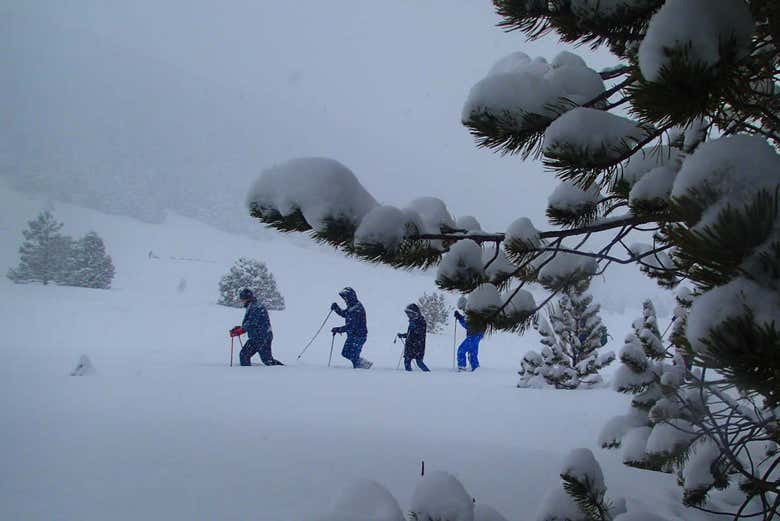 Trekking through the snow